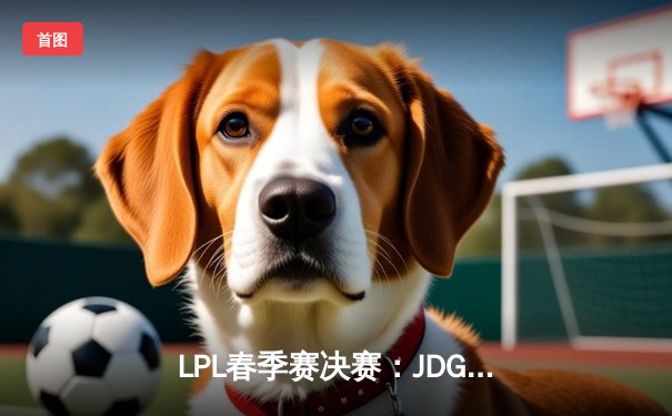 LPL春季赛决赛：JDG鏖战五局力克BLG，勇夺队史第四冠